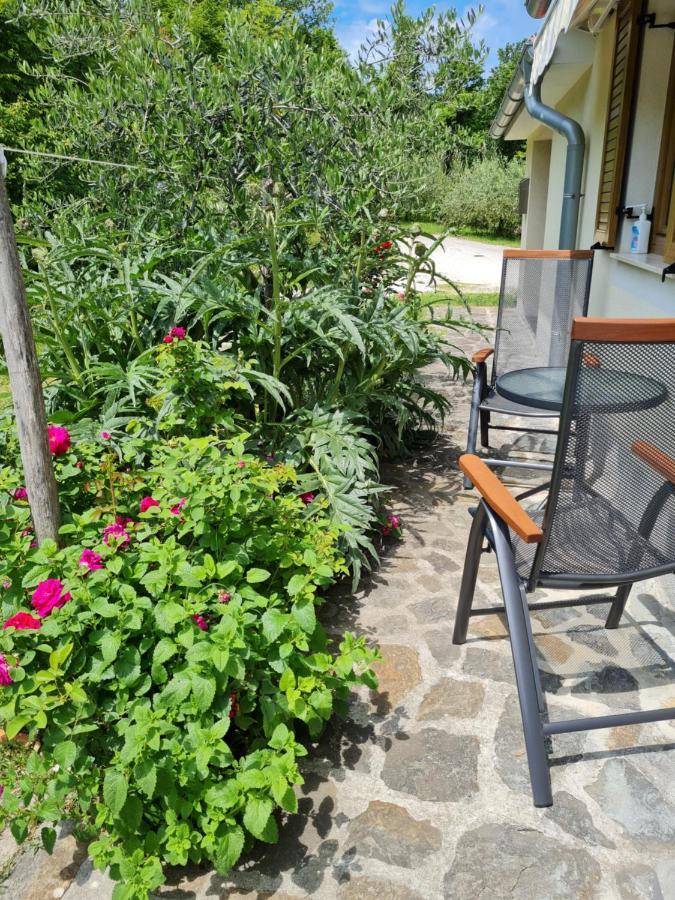 Apartma Istra Zora Sečovlje Buitenkant foto