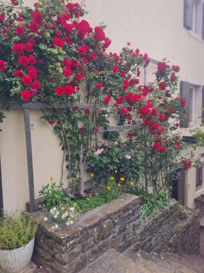 Apartma Istra Zora Sečovlje Buitenkant foto