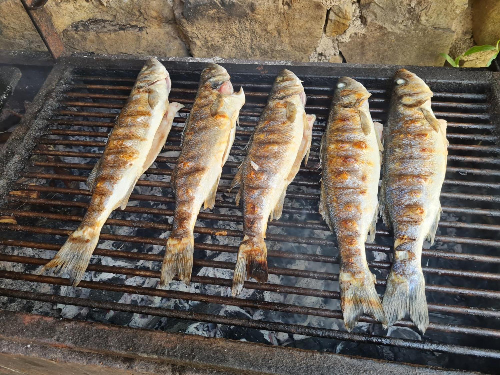 Apartma Istra Zora Sečovlje Buitenkant foto