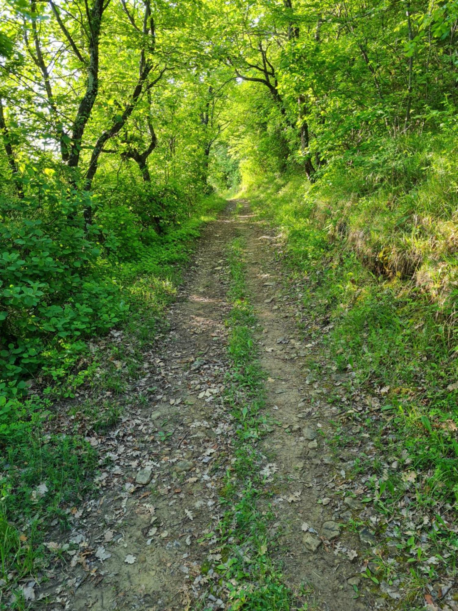 Apartma Istra Zora Sečovlje Buitenkant foto