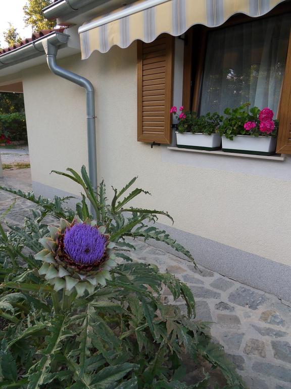 Apartma Istra Zora Sečovlje Buitenkant foto