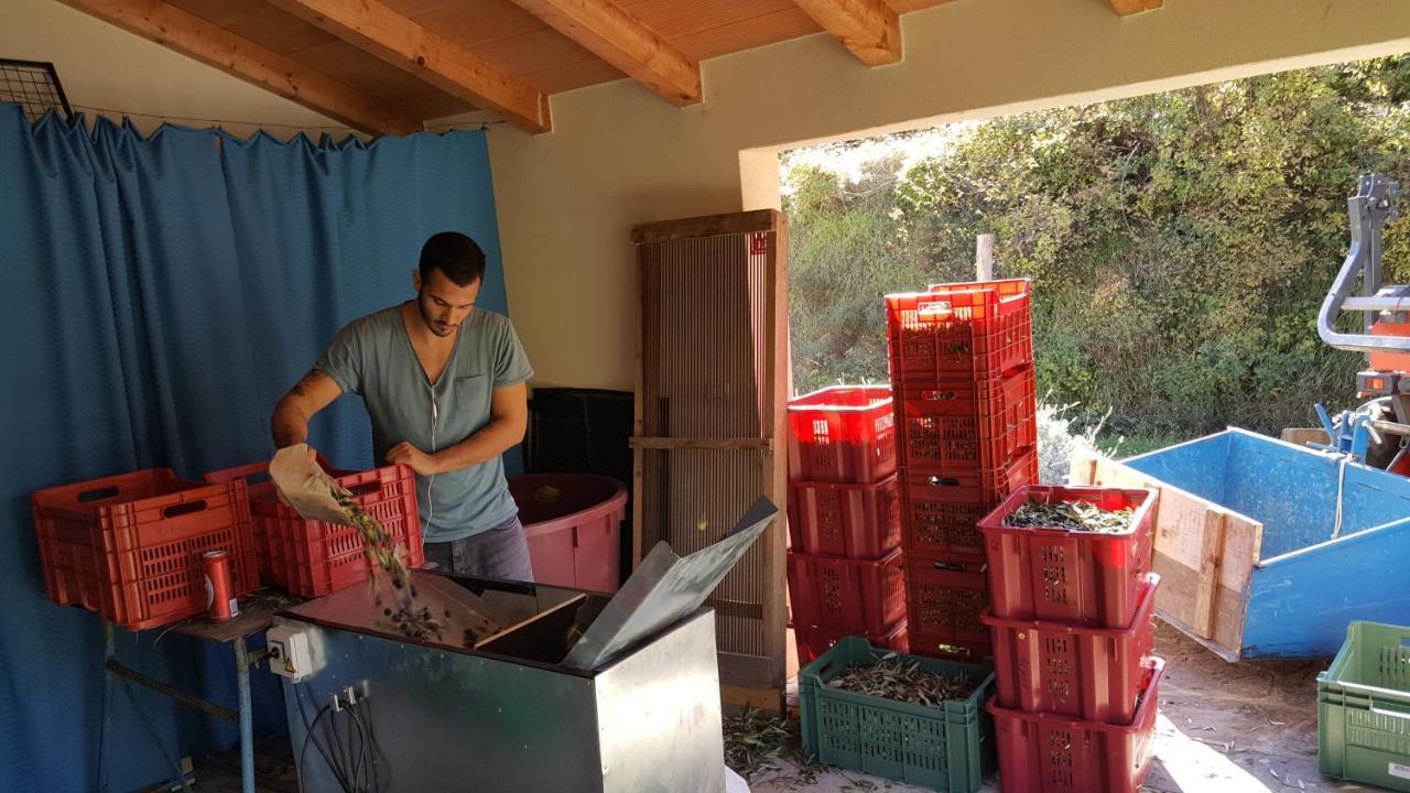 Apartma Istra Zora Sečovlje Buitenkant foto