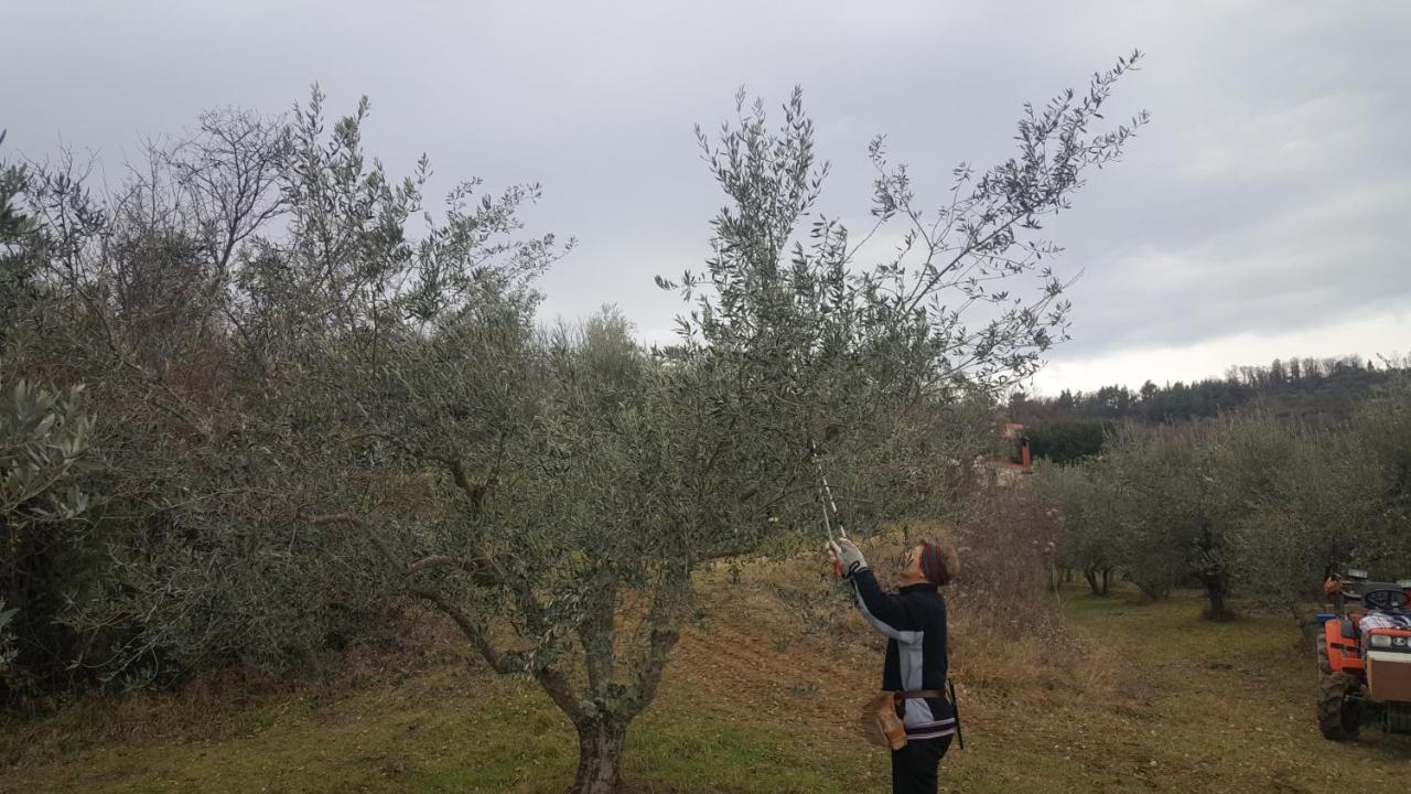 Apartma Istra Zora Sečovlje Buitenkant foto